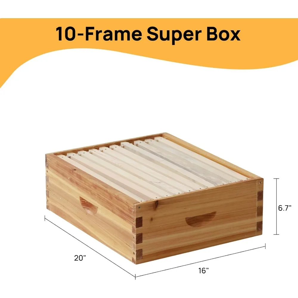 10-Frame Langstroth Bee Hive Coated with 100% Beeswax Includes Beehive Frames and Foundations (1 Deep Boxes & 1 Medium Boxes) 3