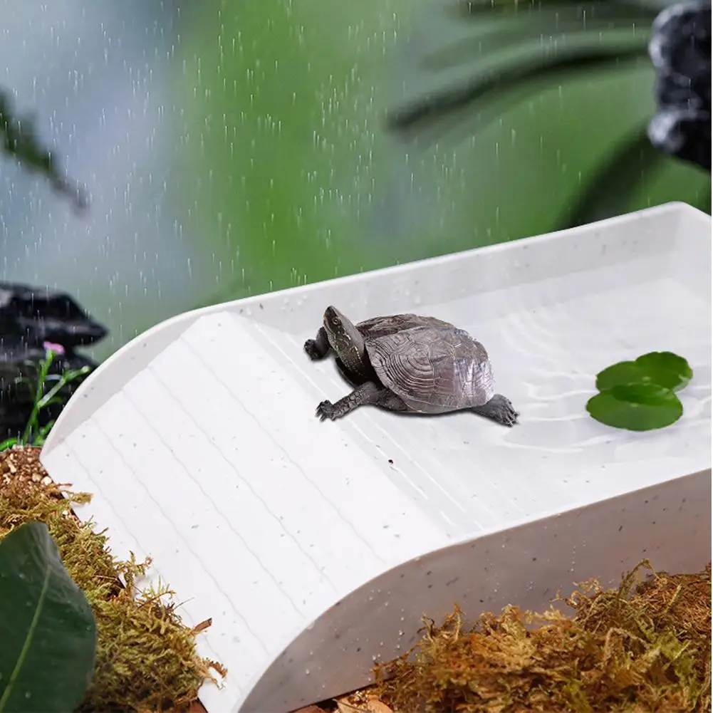 Turtle Bath Ornament With Ramp Reptile Bowl for Scorpion Tortoise Snake Leopard Bearded Dragon