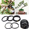 Total 5M (Black) Bonsai Wire Anodized Aluminum Bonsai Training Wire, 5 Sizes (1.0Mm, 1.5Mm, 2.0Mm, 2.5Mm, 3Mm) for Plant Shapes 1