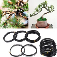 Total 5M (Black) Bonsai Wire Anodized Aluminum Bonsai Training Wire, 5 Sizes (1.0Mm, 1.5Mm, 2.0Mm, 2.5Mm, 3Mm) for Plant Shapes 1