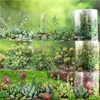 PET Tape Mountain Wild Flower Realm Series Flower Stone Landscape Outdoor Hand Account Collage Material DIY Decoration Card Gift 5