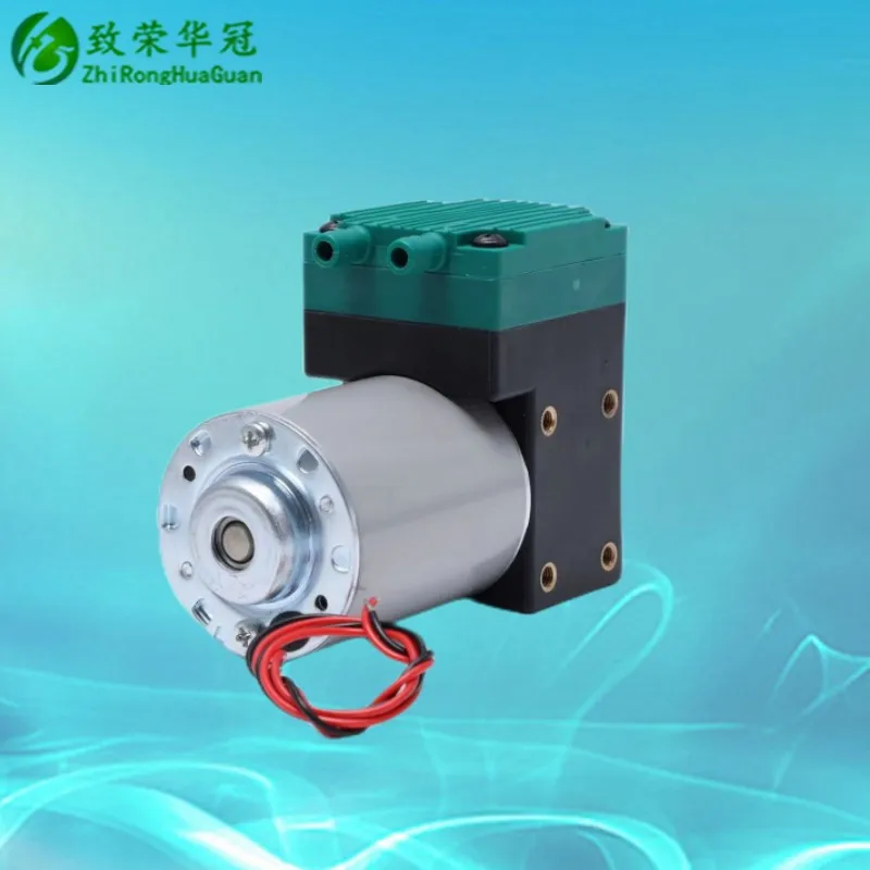 소형 진공 펌프, DC12V, AC110V, 소형 펌프, DC24V, 팽창 펌프, AC220V, 미용 기기