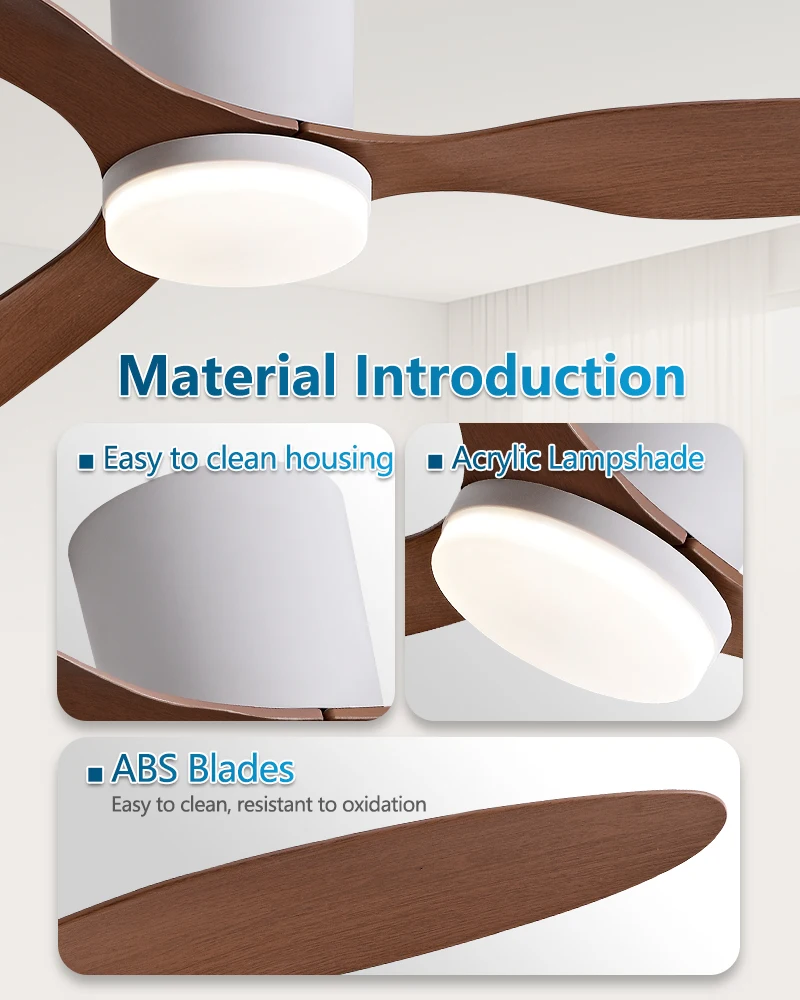 Fan Light Image 7