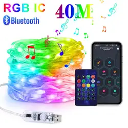 Smart Outdoor LED String Lights with Bluetooth and Music Sync - RGBIC, Weatherproof, 40M Festoon Party and Holiday Lighting - 40m (RGB IC)