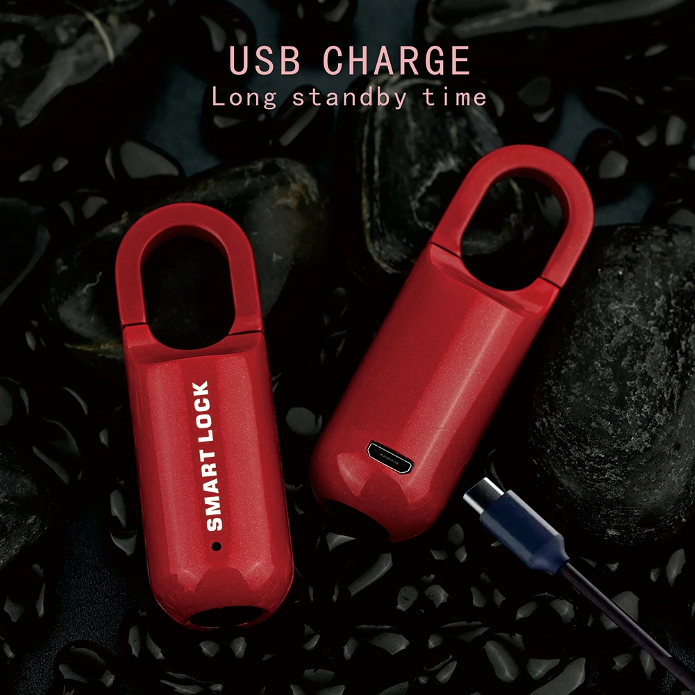 미니 지문 자물쇠, USB 열쇠가 없는 수화물 자물쇠, 전자 자물쇠, 스마트 생체 지문 문짝 잠금, 여행용 빠른 잠금 해제