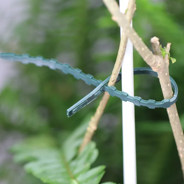 50/100PCS Plastic Plant Ties Reusable Fastener Greenhouse Grow Kit For Garden Tree Tomato Vines Climbing Multi-Function Clip 2