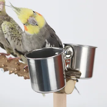 Bird Pepper Station & Training Rack 1