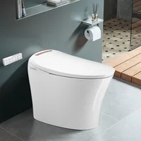 Smart Toilet, Heated Seat, Tankless, Automatic Flushing, Remote Control, One Piece Toilet,with Bidet Built in,Bidet Toilet 1