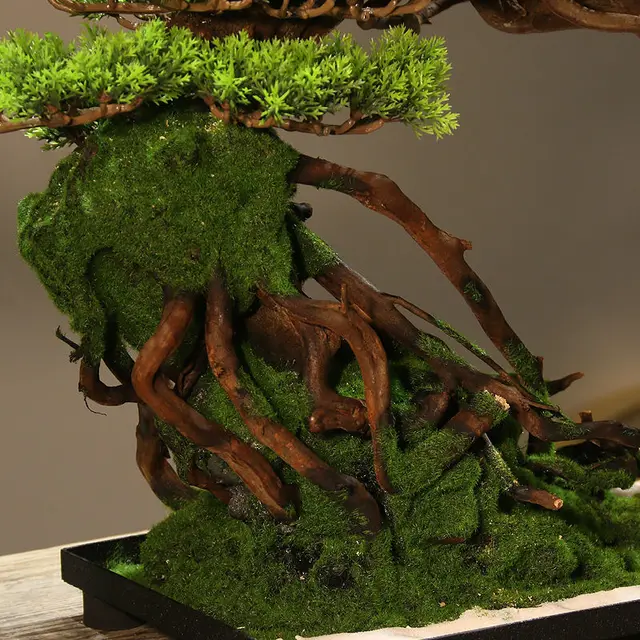 Szimuláció Zöld Növények Üdvözölve A Fenyő Bonsai Ültetési Sarkokat És Díszek Nappali Dekorációk Zen Mikrokori Táj - Image 5