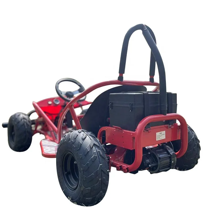 Professional Karting Dual Motor Drive Electric Go Kart With After