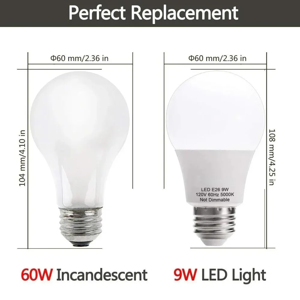 3-Pack LED Globe Bulbs - 8W G25 G80, 5000K Daylight, E26 Base (60W Equivalent)