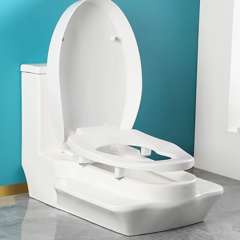 Conversionoftoilettosquattingpandesktoptoilettosquattingpan