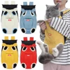 Cycling Walking Sphynx Cat Carrier for Cats Breathable Pet Backpacks Kitten Garfield Carrying Bags mascotas Travel Accessories 3