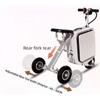 Bagages Scooters électriques petit Tricycle électrique 2 places Scooter de mobilité pliant léger voyage batterie amovible 300W 5