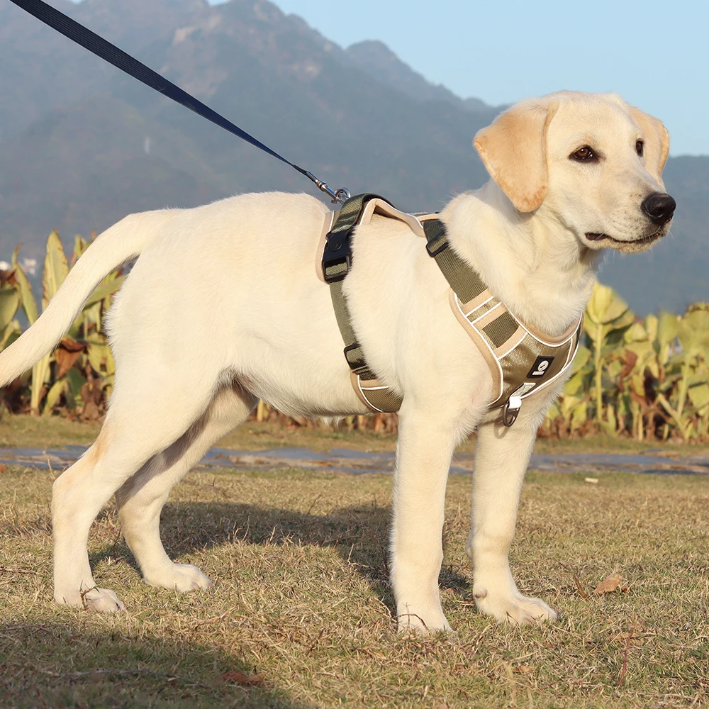 Dog Harness Image 15