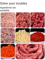 Tqh Meat Grinder High-Power Multi-Function Electric Small Automatic Meat Stirring Sausage Filler 2