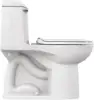 Champion One-Piece Toilet with Toilet Seat and Wax Ring Elongated Front Chair Height White squatceramic 5