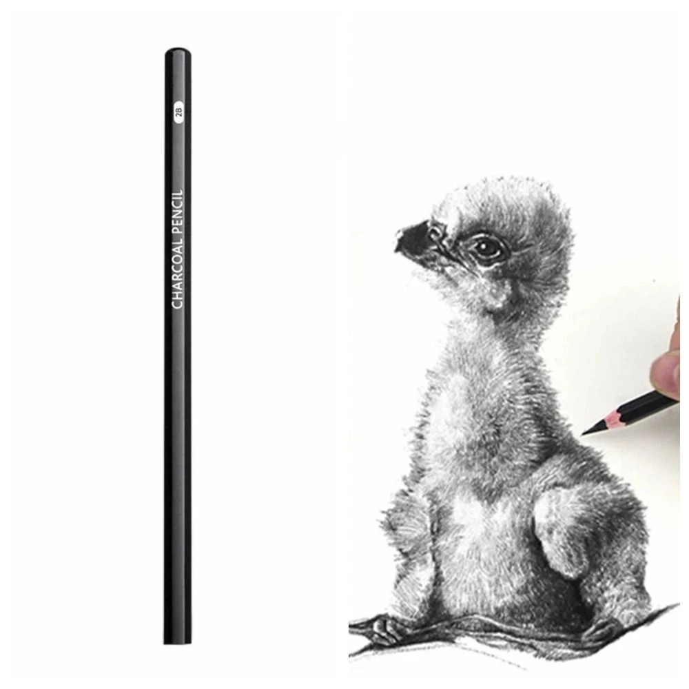 Graphite Mixed Sketching Pencil Art Supplies Painting Charcoal Pencils Black Durable Drawing Pencil Set Details Processing