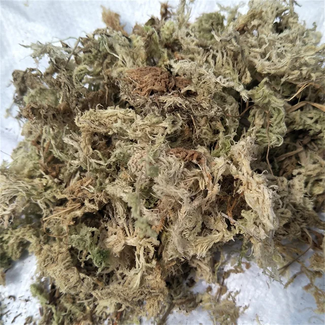 12L Moha Cserepes Virág Húsos Tenyésztési Szubsztrát Víz Mohát Száraz Abon Organikus Barkács Virágos Kert - Image 3