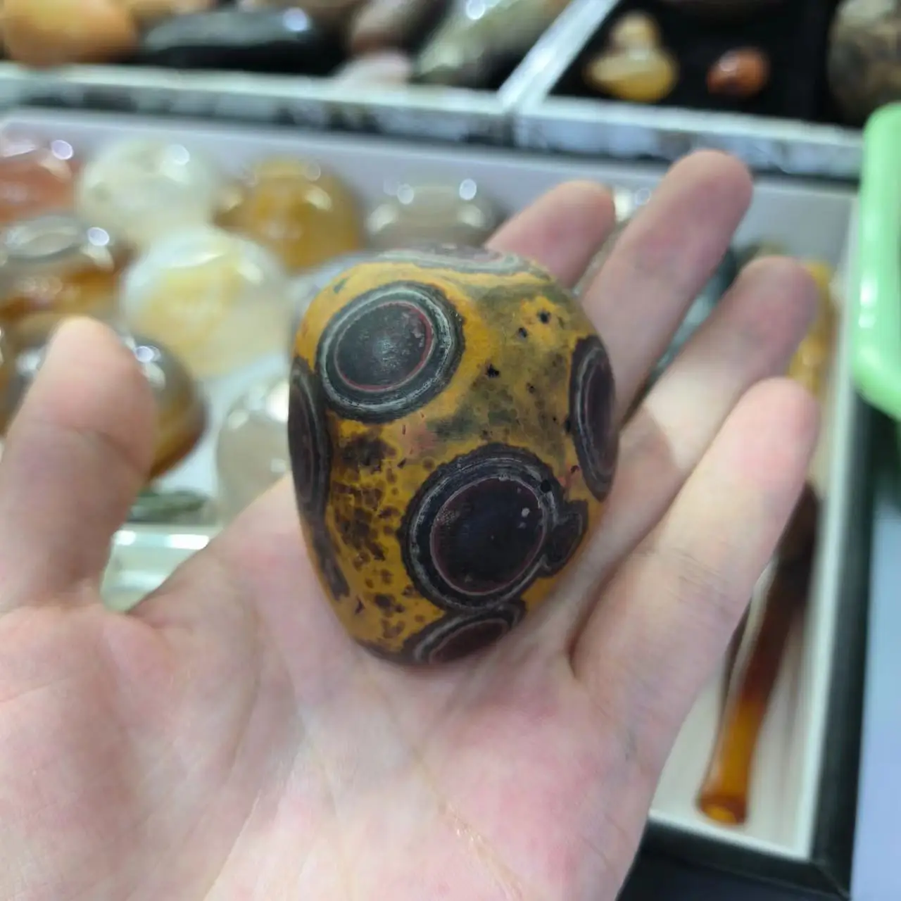 1pcs/lot Wonderful Natural gobi Agate mysterious pattern rare large size strong energy strange stone collection jewelry amulet