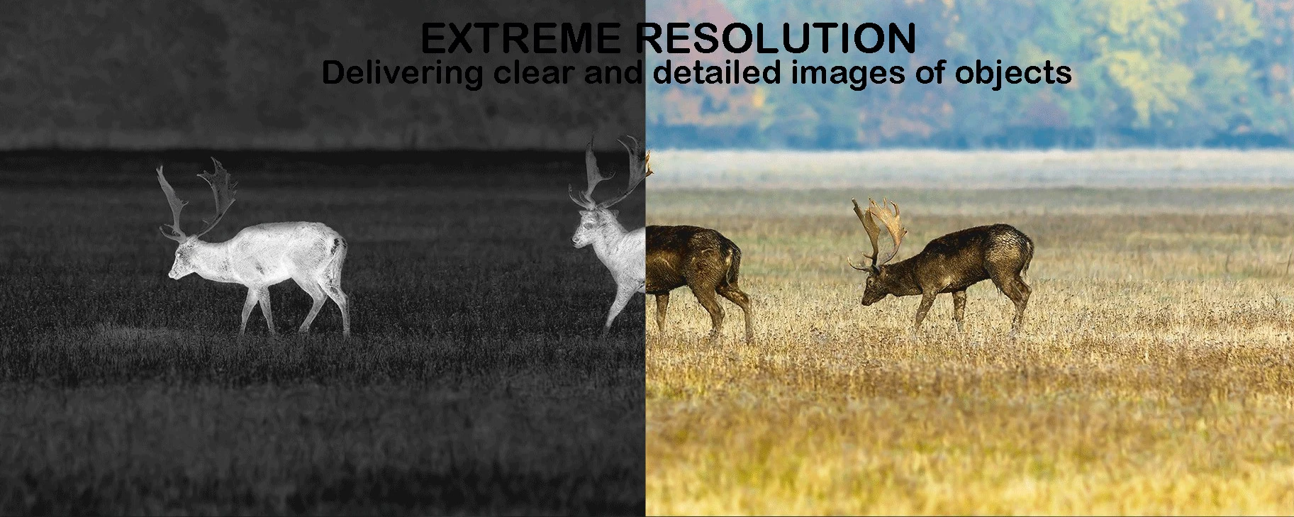 Thermal Imaging Rifle Scope for Hunting, 640x512 High Resolution, PIP LRF Therma