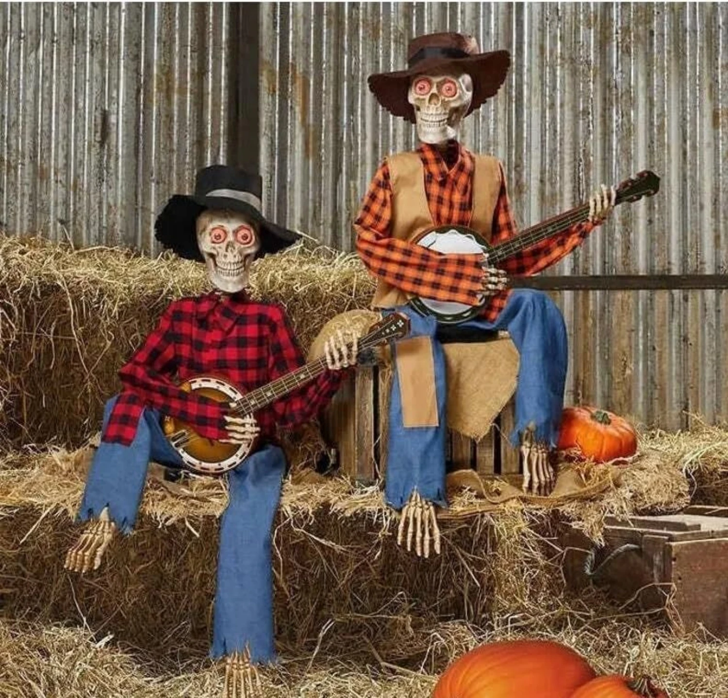 Animated Motion Sound Activated Musical Multi Lingual Banjo Skeletons Duo Halloween Fall Indoor Glowing Skeleton Skeleton Decor