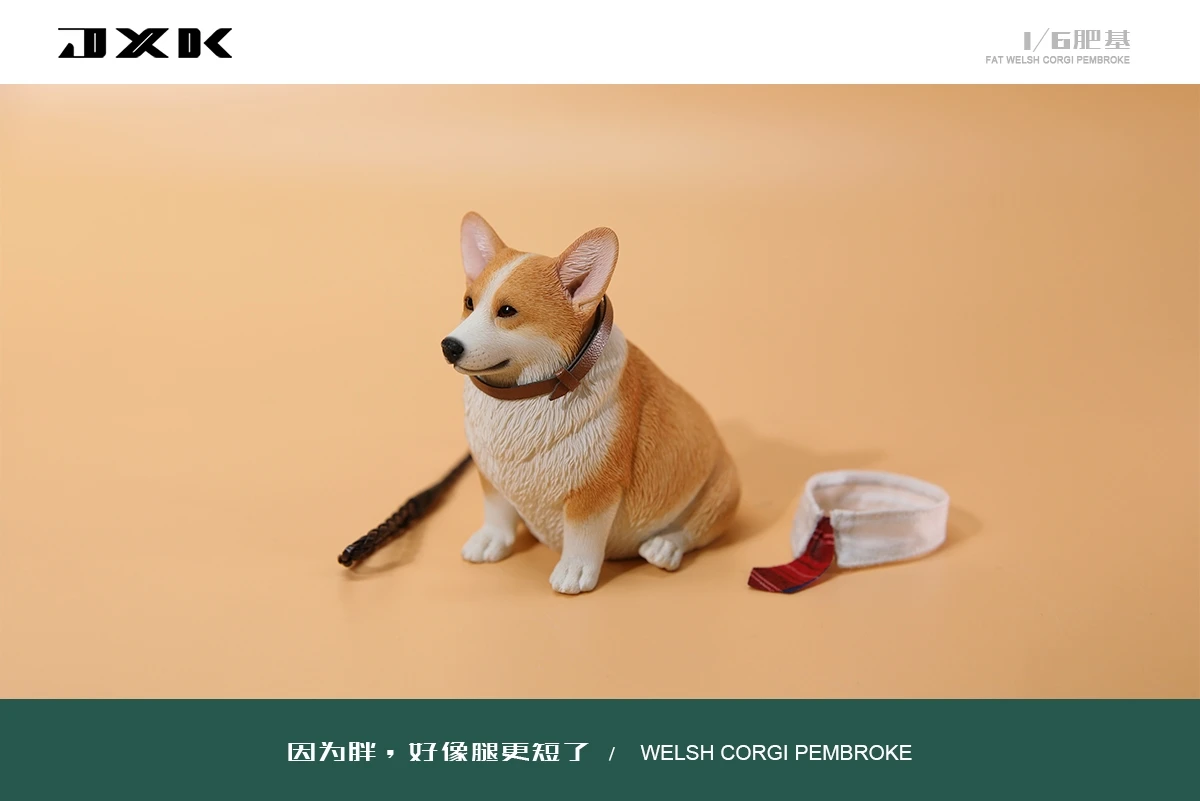 JXK 1/6 Cute Fat Welsh Corgi Pembroke Figure Animal Model Toy