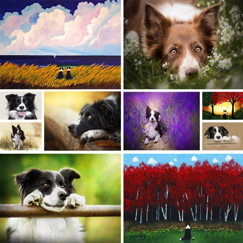 Tier Hund Grenze Collie gedruckt Leinwand Kreuz stich Set DIY Stickerei Nähen Stricken Hobby hand gefertigt Großhandel Design gestempelt – Detail 12