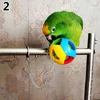Cute Pet Bird Plastic Chew Ball Chain Cage Toy for Parrot Cockatiel Parakeet Parrot Chew Cage Fun Toys Pet Bird Supplies 6