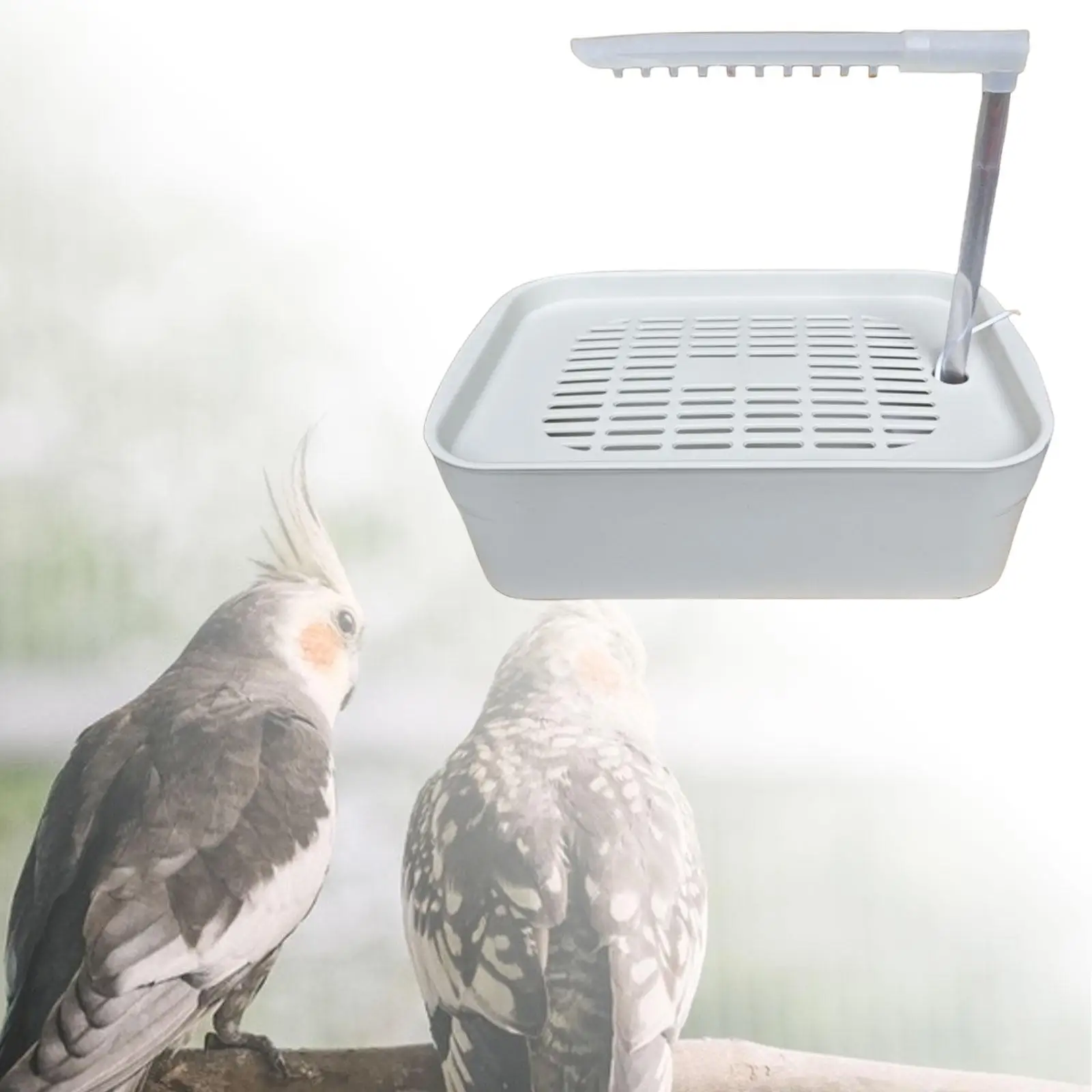 Automatic Pet Bird Bath with USB Cable Easy to Clean Parrot Bathtub for Cockatiel African Grey Water Bowl Lovebirds Budgie 5