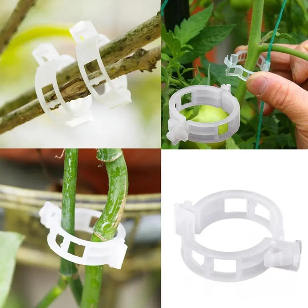 

50/100Pcs Plastic Plant Support Clips Reusable Plant Grafting Fixing Connects Vegetable Garden Tomato Protect Tool Supplies T5V8