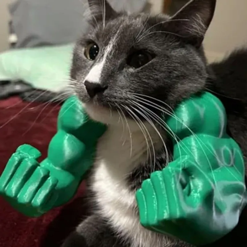 Muscle arms 3D Printed  Original Cat Toys Arms for Cat - PeticaDeals