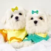 5/10/20Pcs Dot Pet Grooming Hair Clips Dog Cat Bows Hairpin Pet Girls Barrette for Small Dogs Supplies Pet Hair Grooming Acce 2