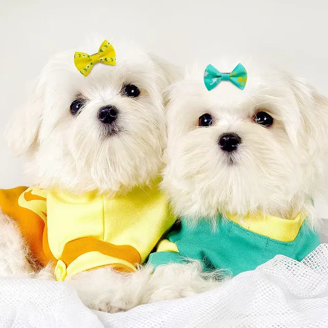 5/10/20Pcs Dot Pet Grooming Hair Clips Dog Cat Bows Hairpin Pet Girls Barrette for Small Dogs Supplies Pet Hair Grooming Acce 2