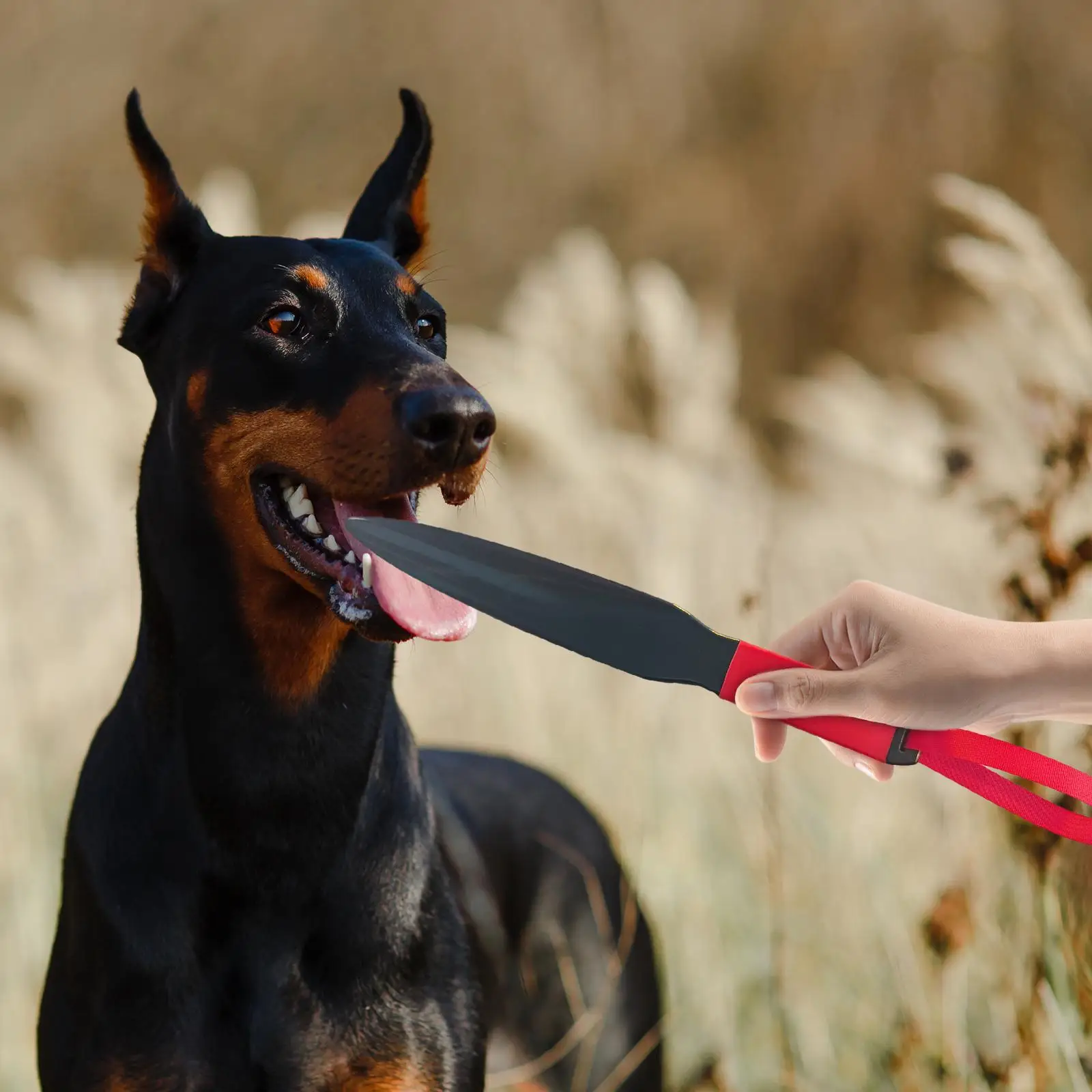 Dog Break Stick Professional Pet Mouth Bite Training Stick Dog No Biting Sticks Chewing Toy for Pitbull Training Strong Dogs