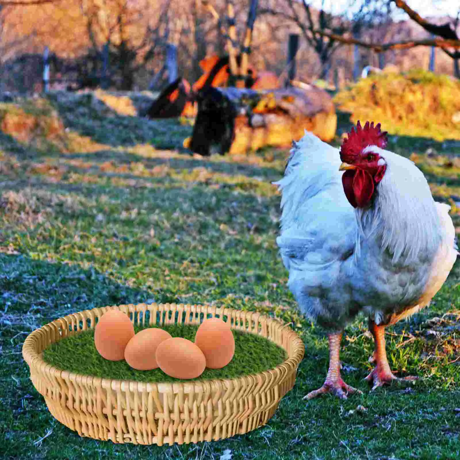  ø е  Ʈ Coop ħ ¥  ô  ܵ Ʈ, ΰ   ݷ  е  ̳