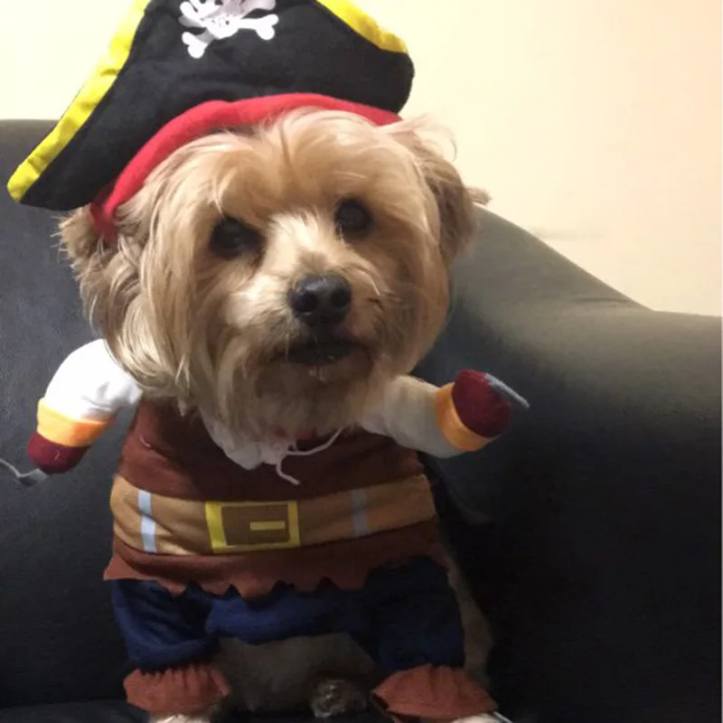 Déguisement Halloween Pirate Élégant pour Petit Chien