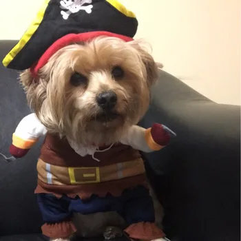 Déguisement Halloween Pirate Élégant pour Petit Chien - 2025 - Doglovedesign : Vêtement et accessoires pour chiens Déguisement Halloween Pirate Élégant pour Petit Chien - 2025 - Doglovedesign : Vêtement et accessoires pour chiens