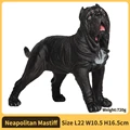 Neapolitan Mastiff