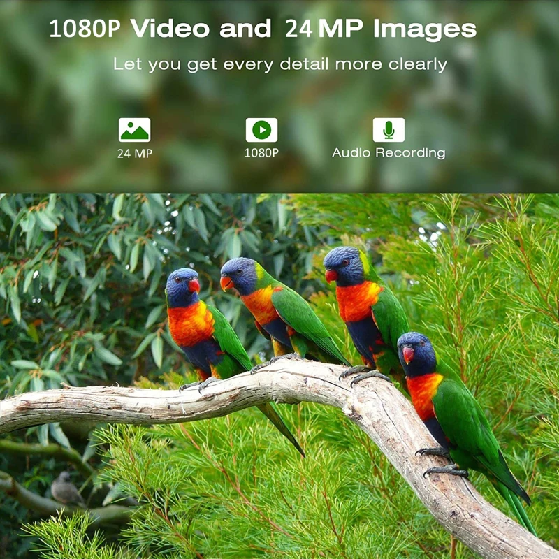Solar Powered 1080P Wireless WiFi Smart Bird Feeder Camera Waterproof Bird Watching Camera Hunting Trail camera