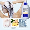EHD Soothing Hair Follicles 500ml Shampoo Oil Control Fluffy Smooth Deep Cleansing Ginger Shampoo 4