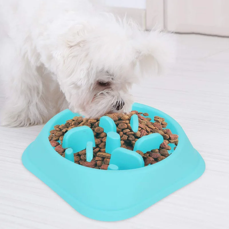 Are Dog Bowls Toxic