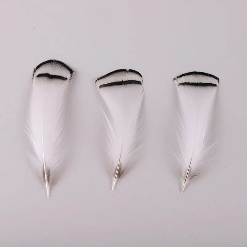 자연 야생 닭 깃털, 5-8cm, DIY 닭 깃털 마스크, 웨딩 장식, 드림 캐처 깃털, 도매, 50 개