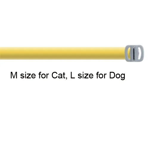 Yellow 2box packing
