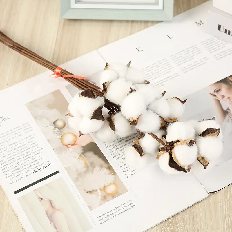 10pcs white