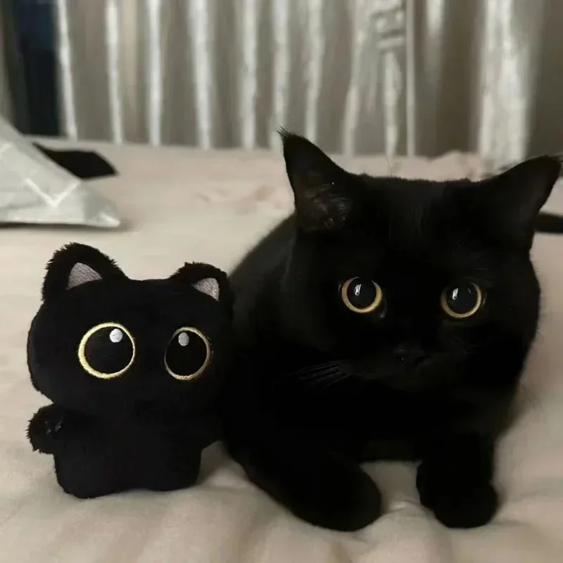 1/2pc Cute Black Cat Plush Toy Doll Small Pendant Cuddly Pillow Cushion Ins Black Cat Plush Toy Doll for Boy Girl Birthday Gifts