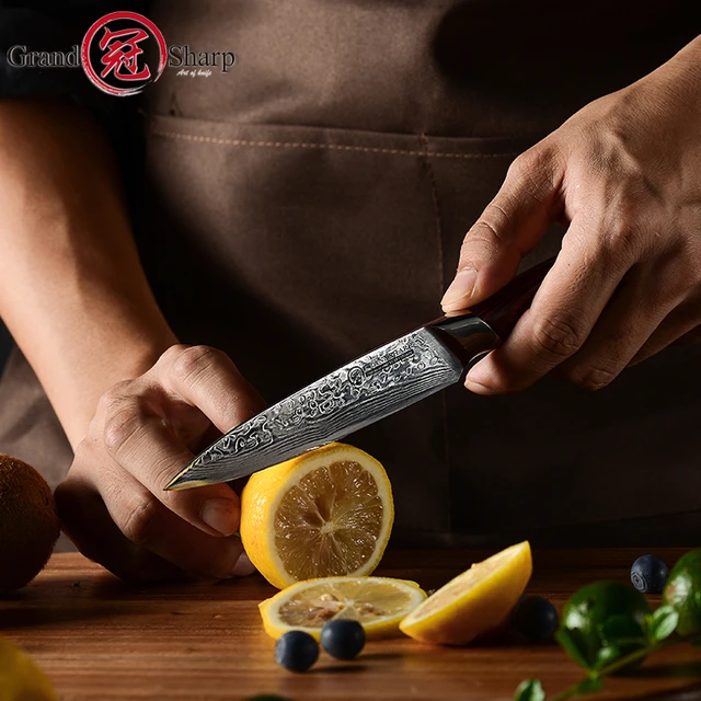 Acheter Couteaux à os en acier inoxydable, couteau à Sushi, couteaux de  cuisine pour fruits et légumes