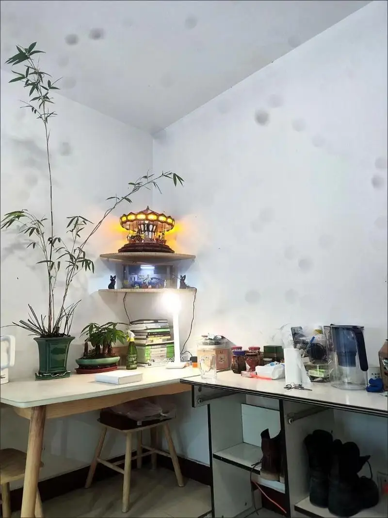 ҳ  ǳ   ڳ ,  ݿ   å,  õ  ޴  , 1PC