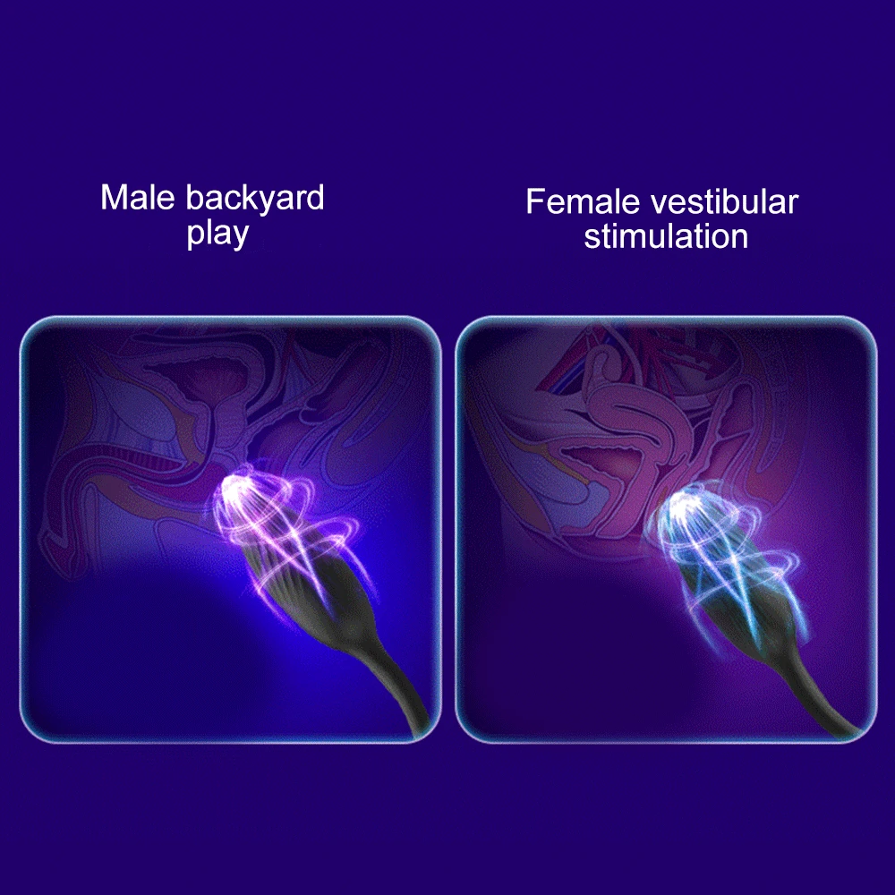 Anal Vibras Dildo Vibrating Male Prostate Massager Delay Ejaculation  Double Ring Butt Plug Toys for Men G_voghion.com