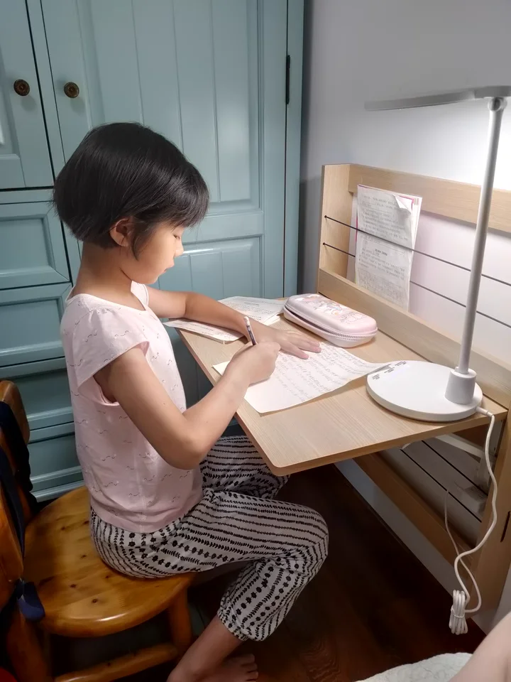 ニトリ ホーム＆キッチン 省スペースの壁掛け折りたたみダイニング